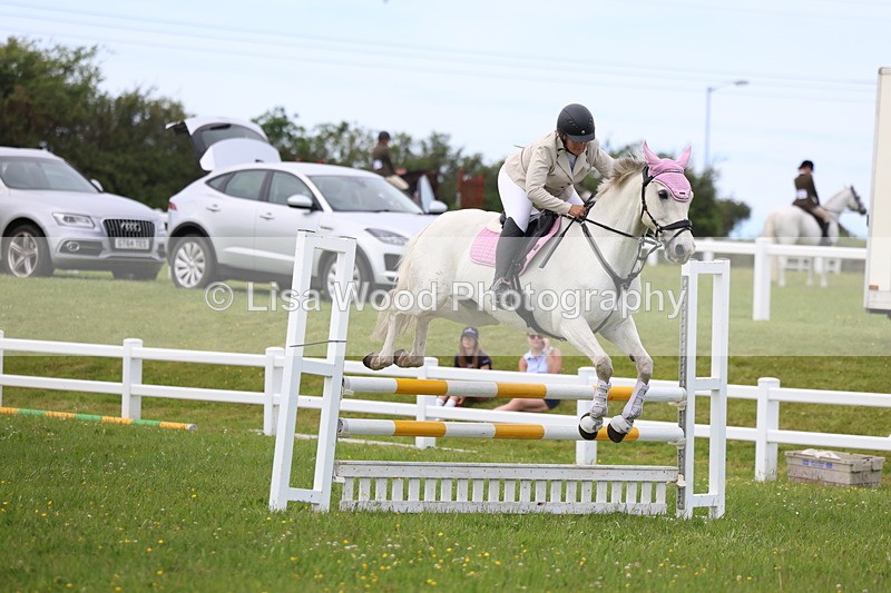 3E7A1765 - Class 13: Senior British Novice/90cm open