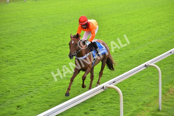 yr04092022p2-55 - 12.50pm. 148cm Open Pony Race