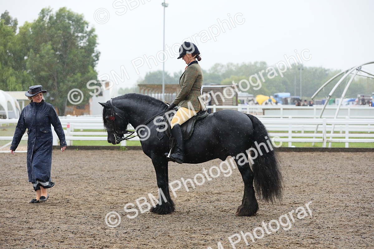 SBM_20576 - Class 804 - Ridden Veteran Pony