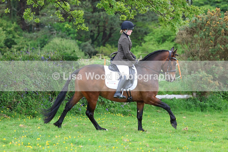 3E7A1984 - Class 10: Ridden Sports Horse