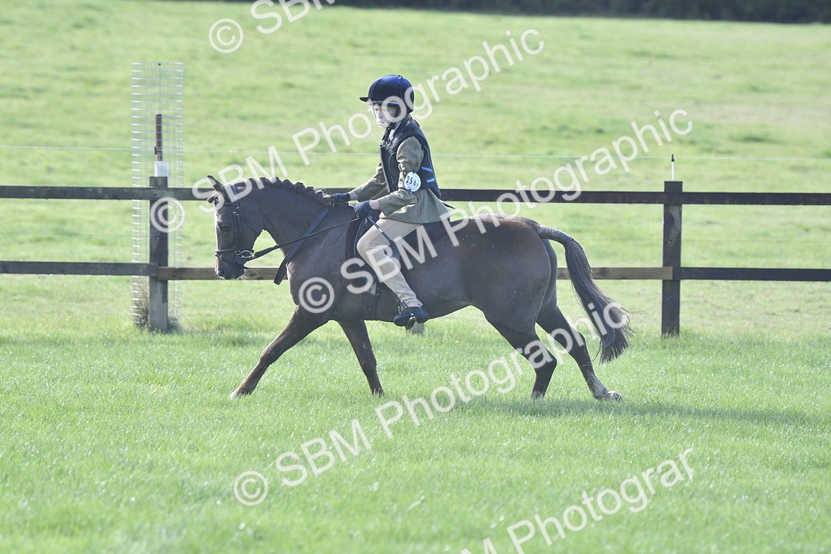 SBM_37221 - S31 - Novice & Newcomer Working Hunter Pony