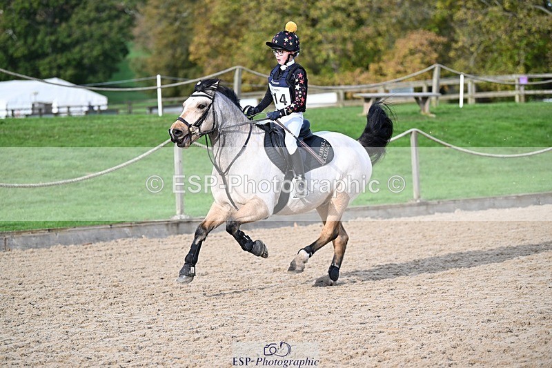 241117-110533-03397 - Cls 2 80-85cm 10.20 to 11.20