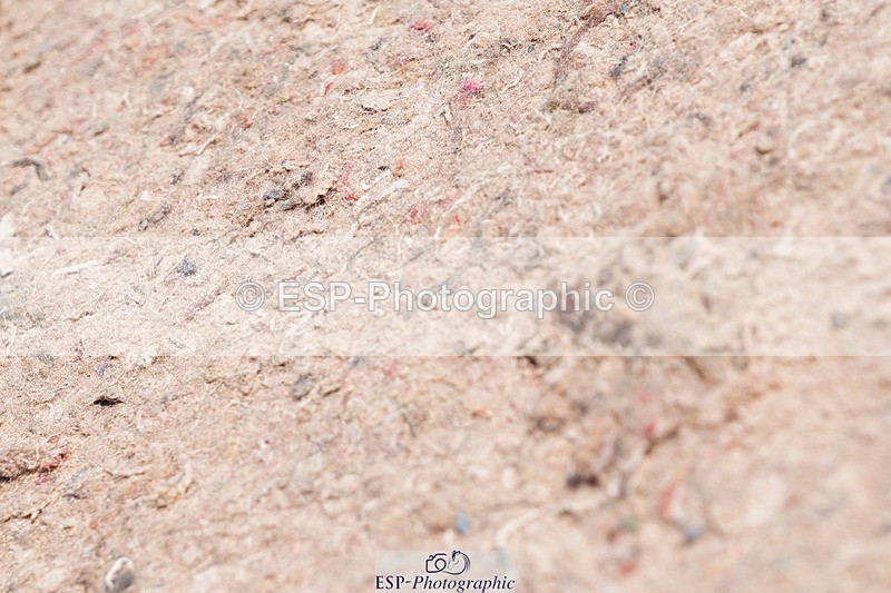 250510-115822-11166 - Cls 15 Prestige Big Star Quali  1st Jump Off