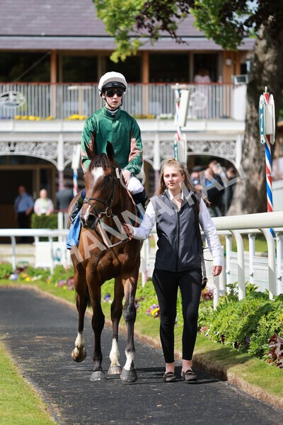 yr21052022r2-40 - Race 2: 2:20pm William Hill Bet Boost Stakes
