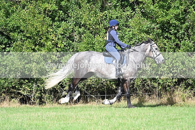 WJ7_8719 - Time 11:10 to 11:53