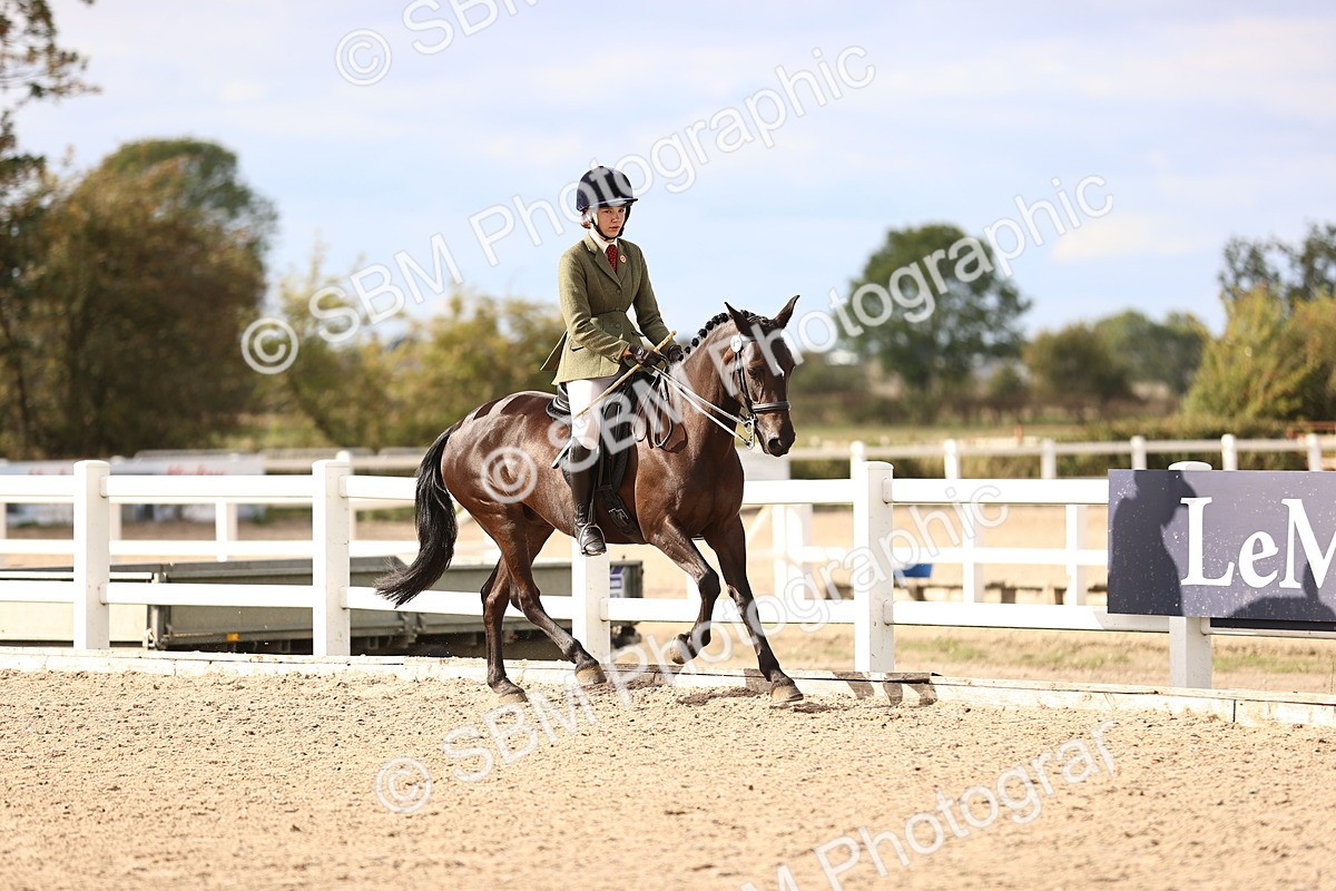 SBM_18164 - Class 423 - Equitation (best rider) Adult