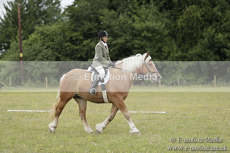 BVR160717-664 - Class 1 & 23a Dressage 16/07/17