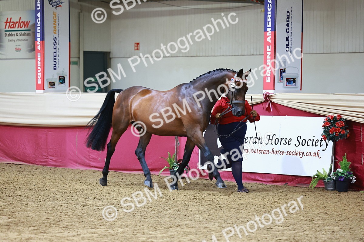 SBM_22248 - Class 902 - Supreme Final - IH Diamond