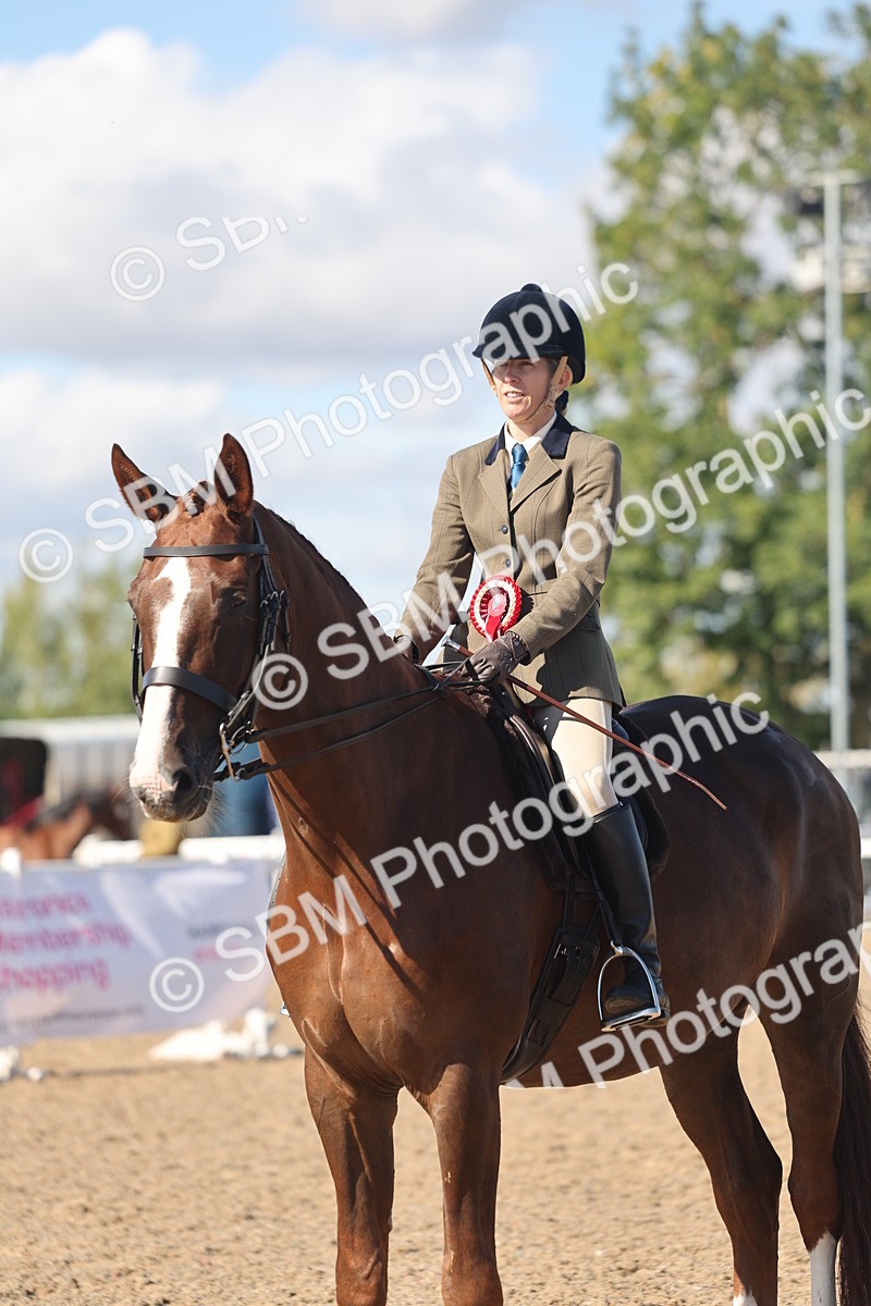 SBM_13109 - Class 305 - Ridden Foreign Breed Pure Bred