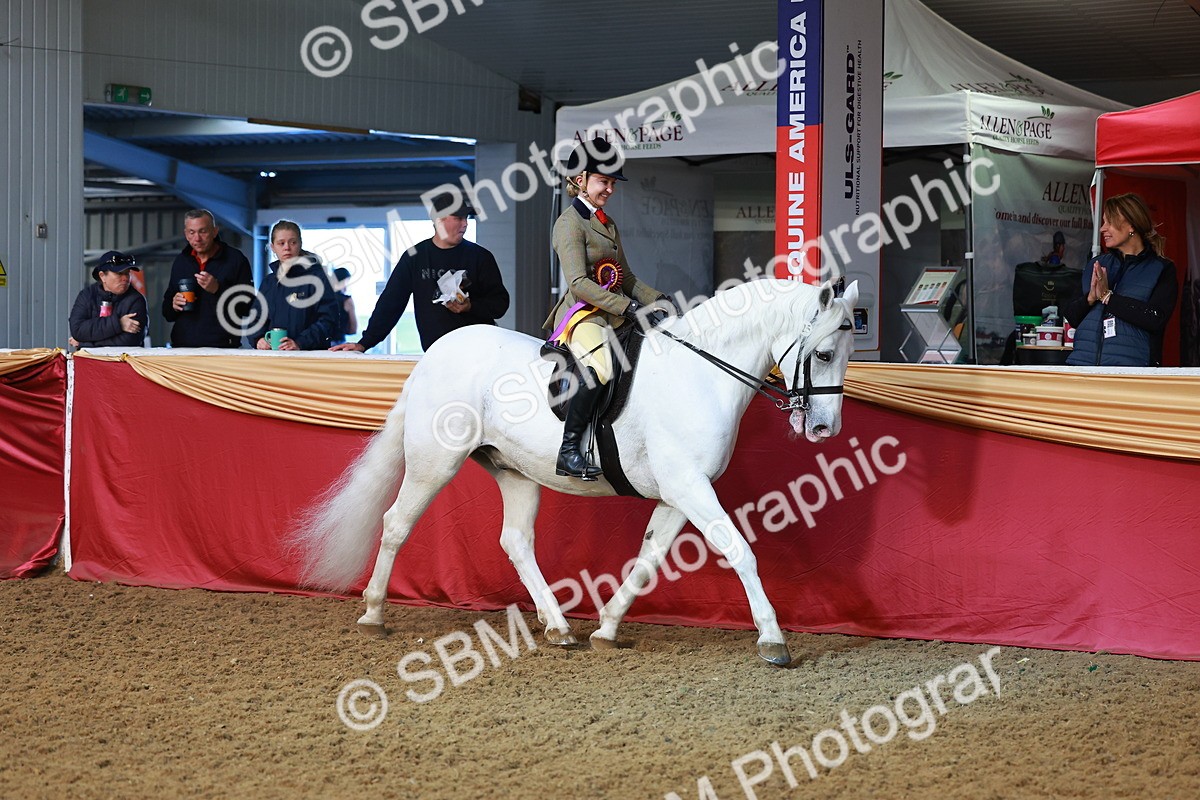 SBM_07776 - Class 101 - HOYS Veteran Qualifier - Ridden Diamond