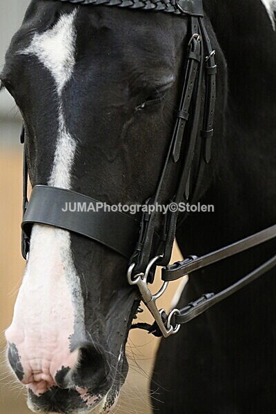 SIAL2972 - Sunday 14th Ridden