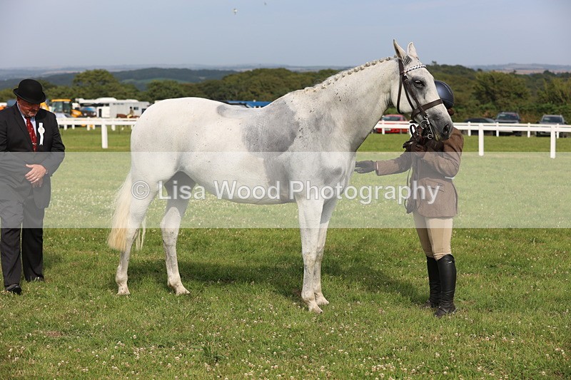 JPP_4299 - Class 25: Working Show Horse