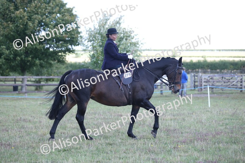 20250831-0969 - Class 15 - Ridden Veteran
