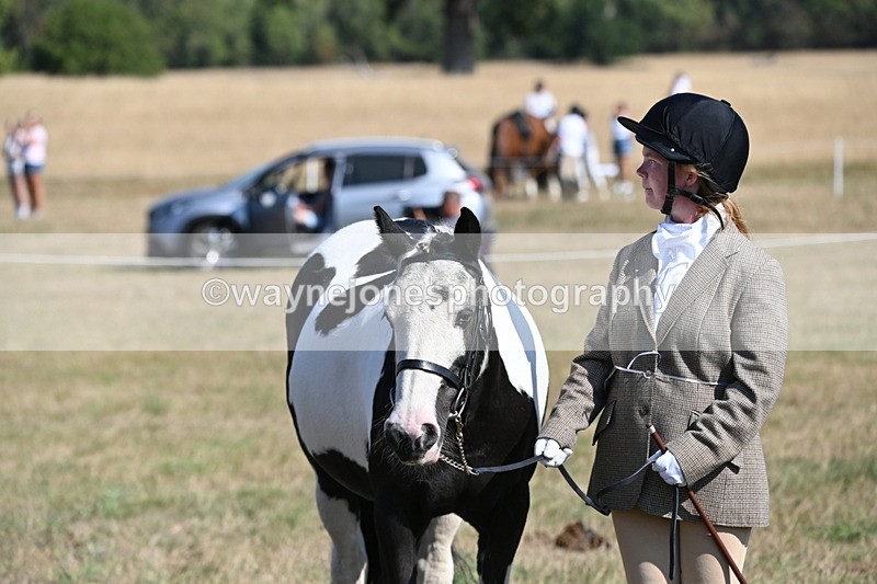 WJ6_7594 - Class 34 Judges Choice