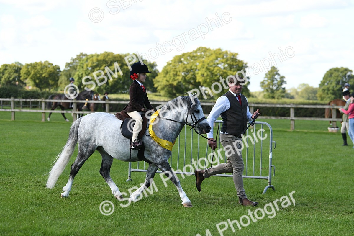 SBM_39702 - S18 - Novice & Newcomers Lead Rein Pony