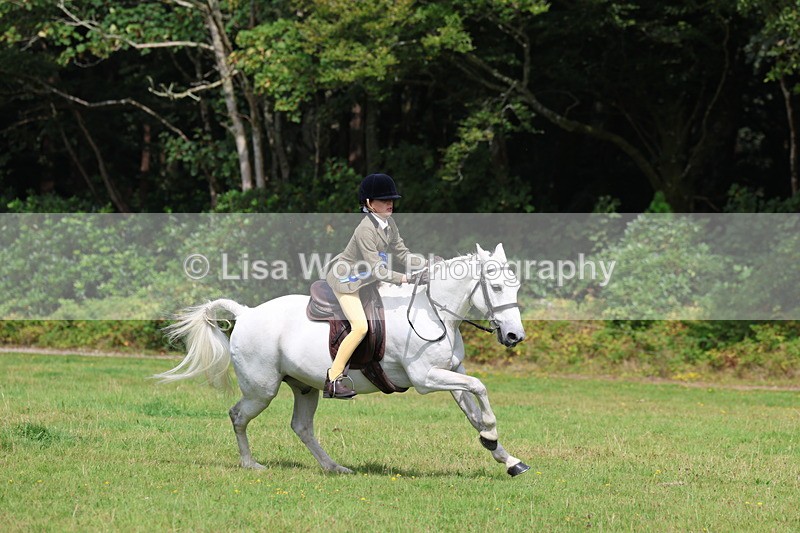 3E7A6089 - Working Hunter Championship