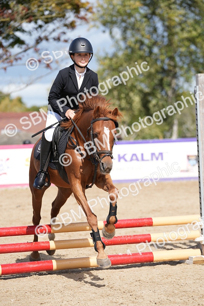 SBM_18117 - J58 - Clear Round 50cm