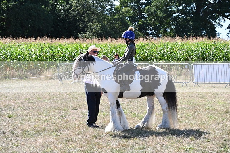 WJ6_8929 - Class 38 Ridden Riding Horse/Pony