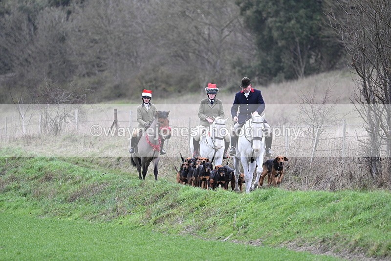 WJ7_0785 - First Seen