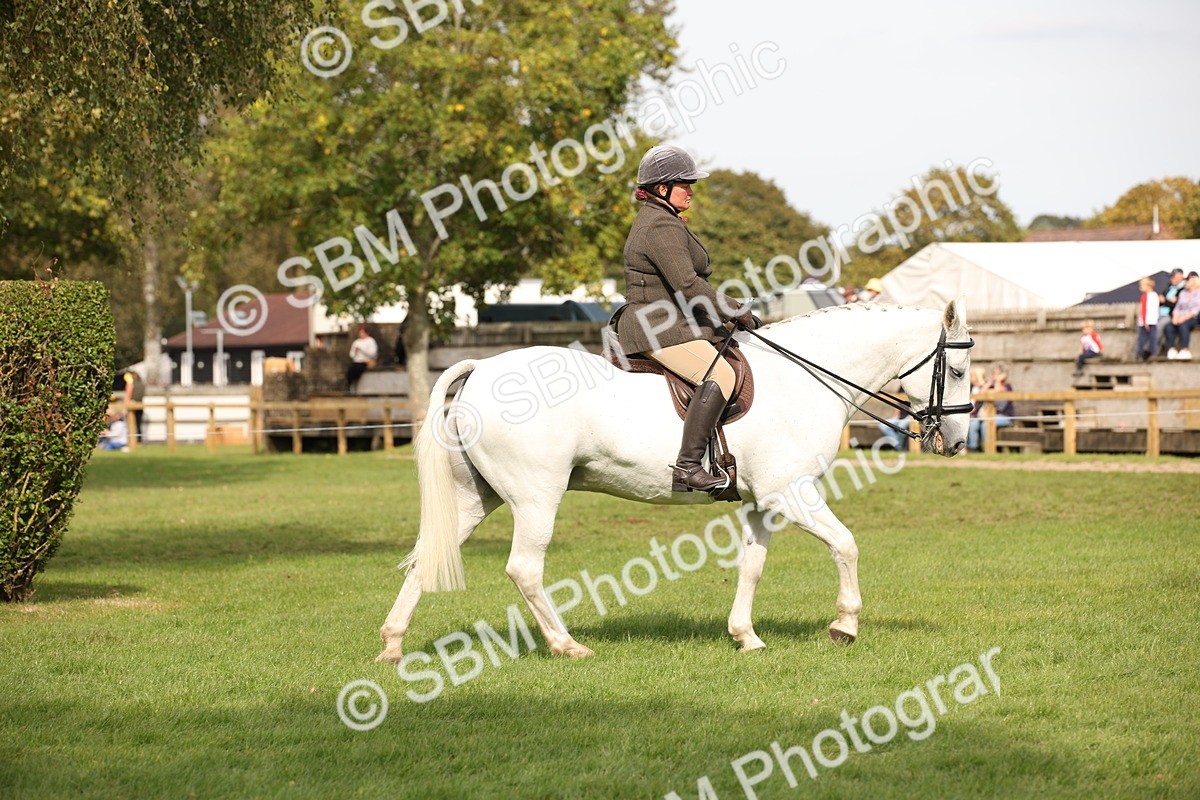 SBM_70351 - S66 - Hunter Ridden