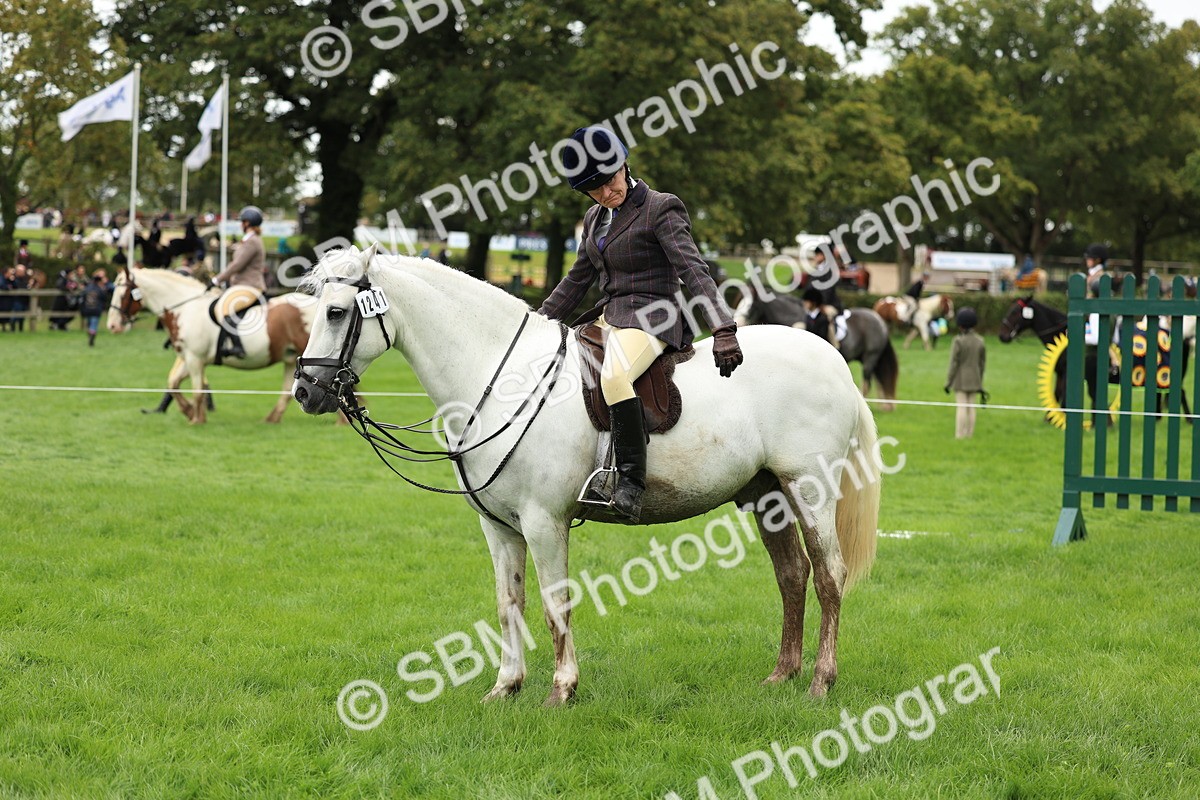 SBM_41830 - S32 - Mountain & Moorland Working Hunter Pony