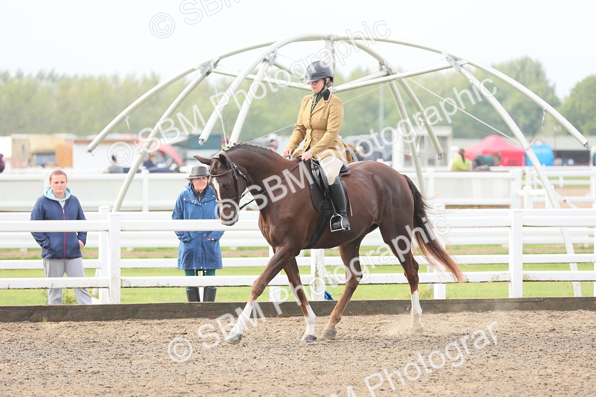 SBM_21340 - Class 805 - Ridden Veteran Horse