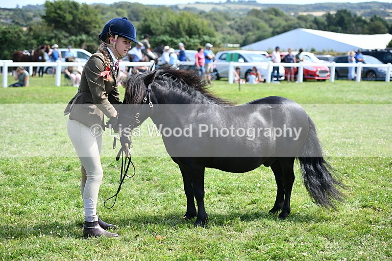 DSC_8169 - Class 67: Child Handler 11 - 16 years