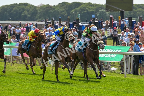 130625-Race 1-Feel The Need-8357 - Race 1 1.50pm Andy Thornton Hospitality Furniture Apprentice Handicap