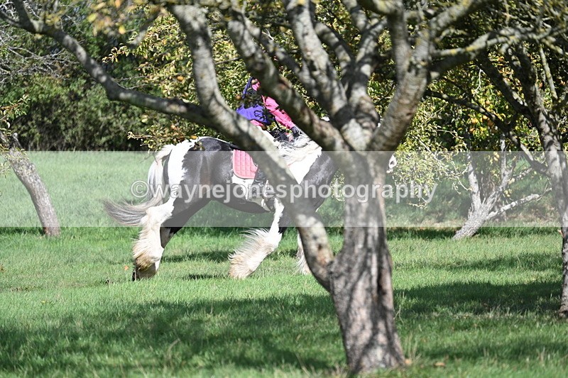 WJ7_0182 - Time 12:53 to 13:03