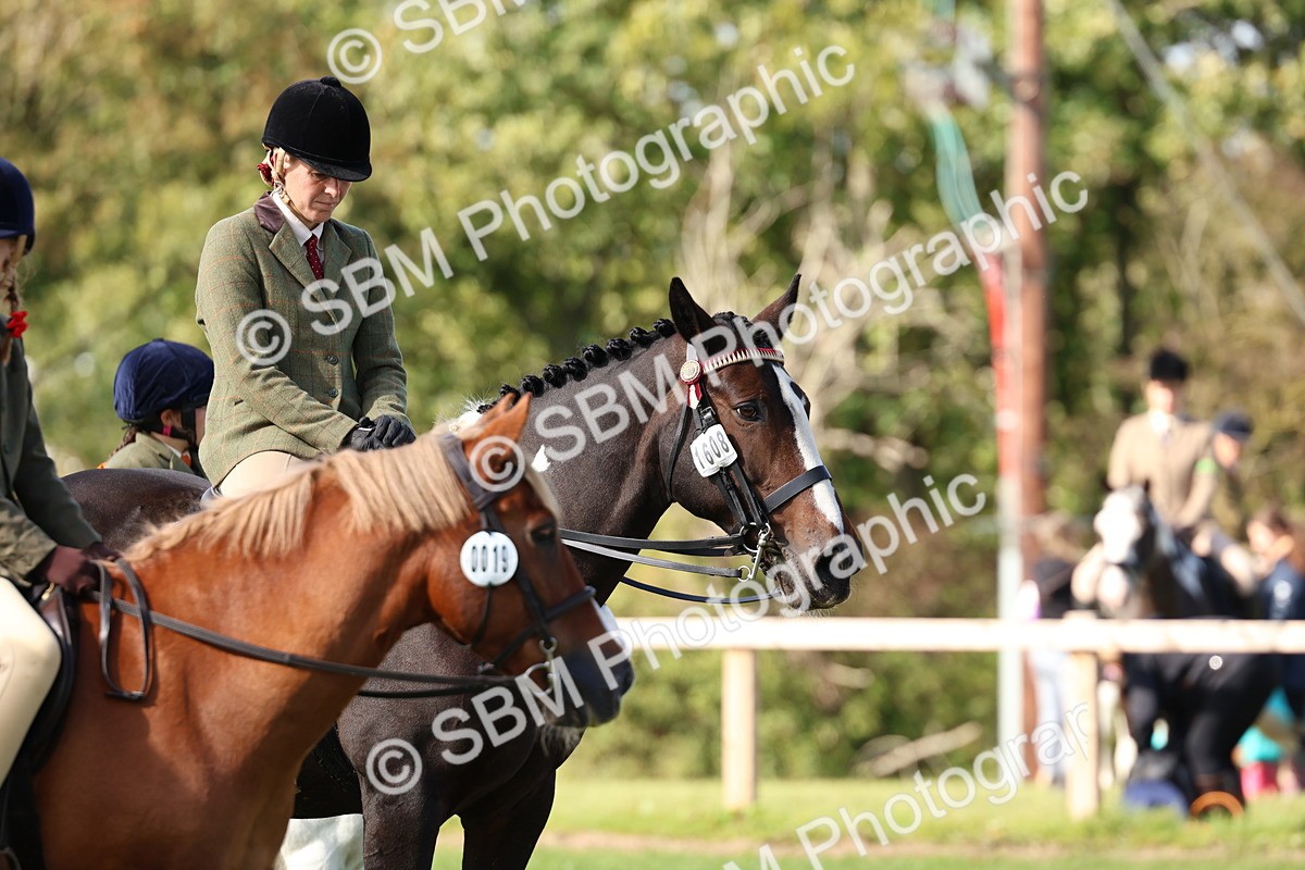 SBM_45311 - S27 - Young Veteran Ridden