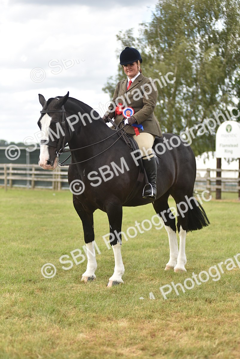 SBM_18257 - Class 122-123 - LIHS BHSA Raising Star Style and Performance Series