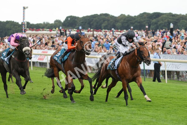 yr04092022r2-24 - Race 2 2.20pm John and Judith Marshall Memorial Stakes