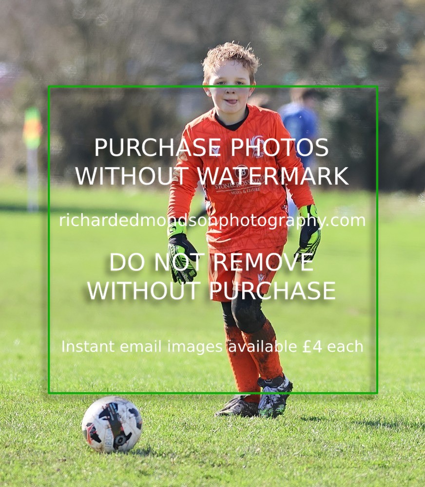 533A7867 - Ibis Under 8's (14/3/26)