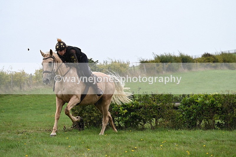 WJ7_9227 - Time 14:01 to 14:20