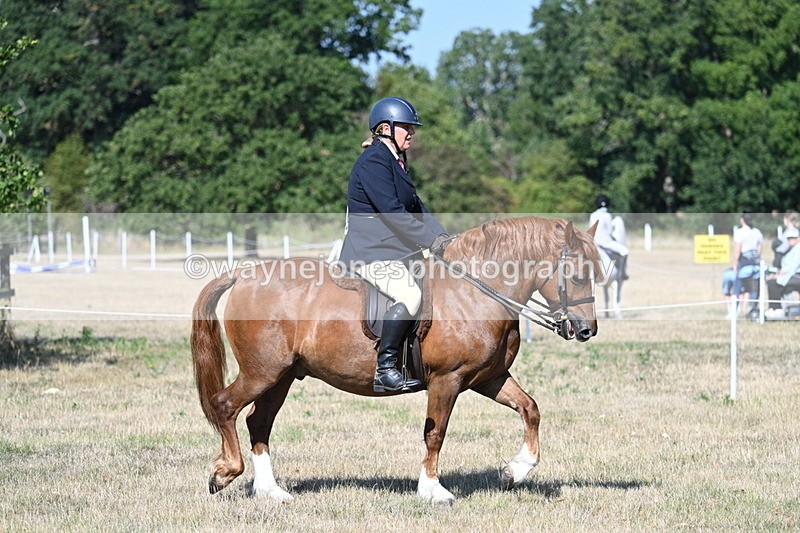 WJ7_3410 - Class 9 Mountain & Moorland Ridden
