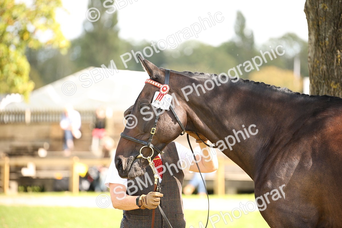 SBM_44431 - S24 - Young Veteran in hand