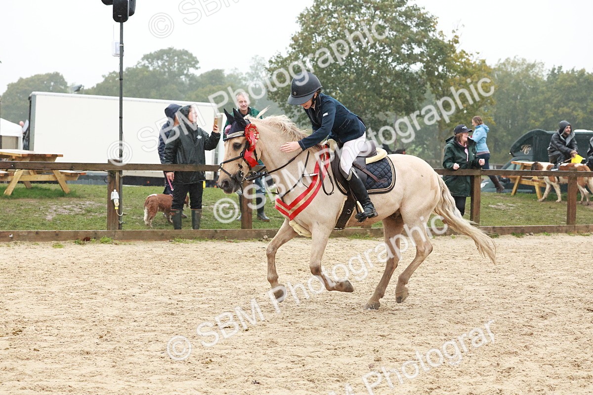 SBM_73661 - Supreme Championship Junior Pony 60cm & 65cm