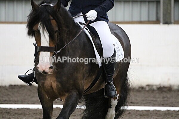 SIAL4174 - CAbin Dressage 5th july 2025