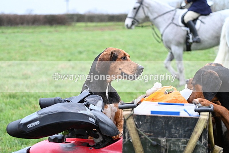 WJ7_4134 - Meet