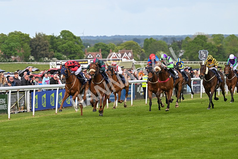 050525-Race 6-Copper And Five-5217 - Race 6