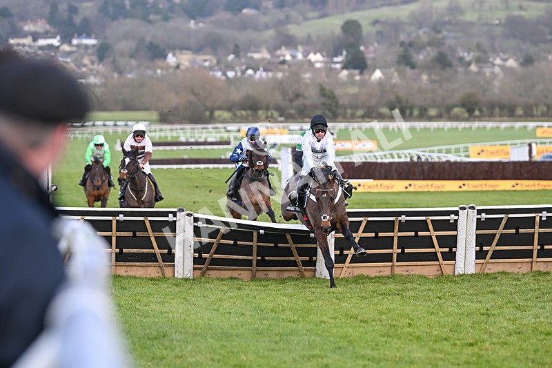 250125-Race 5-Constitution Hill-4698 - Race 5