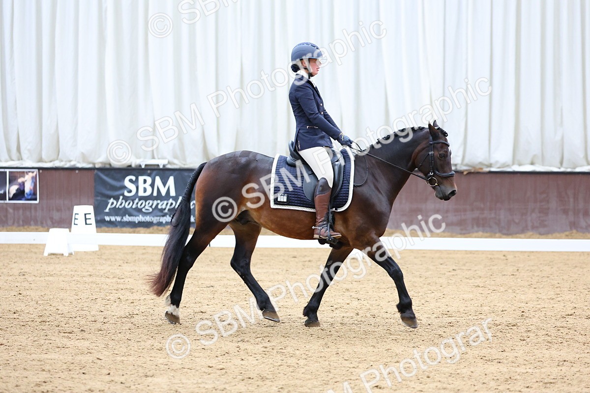 SBM_002325 - Novice 2