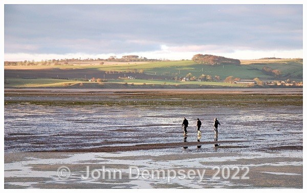 RSPB 5B - Montrose Basin