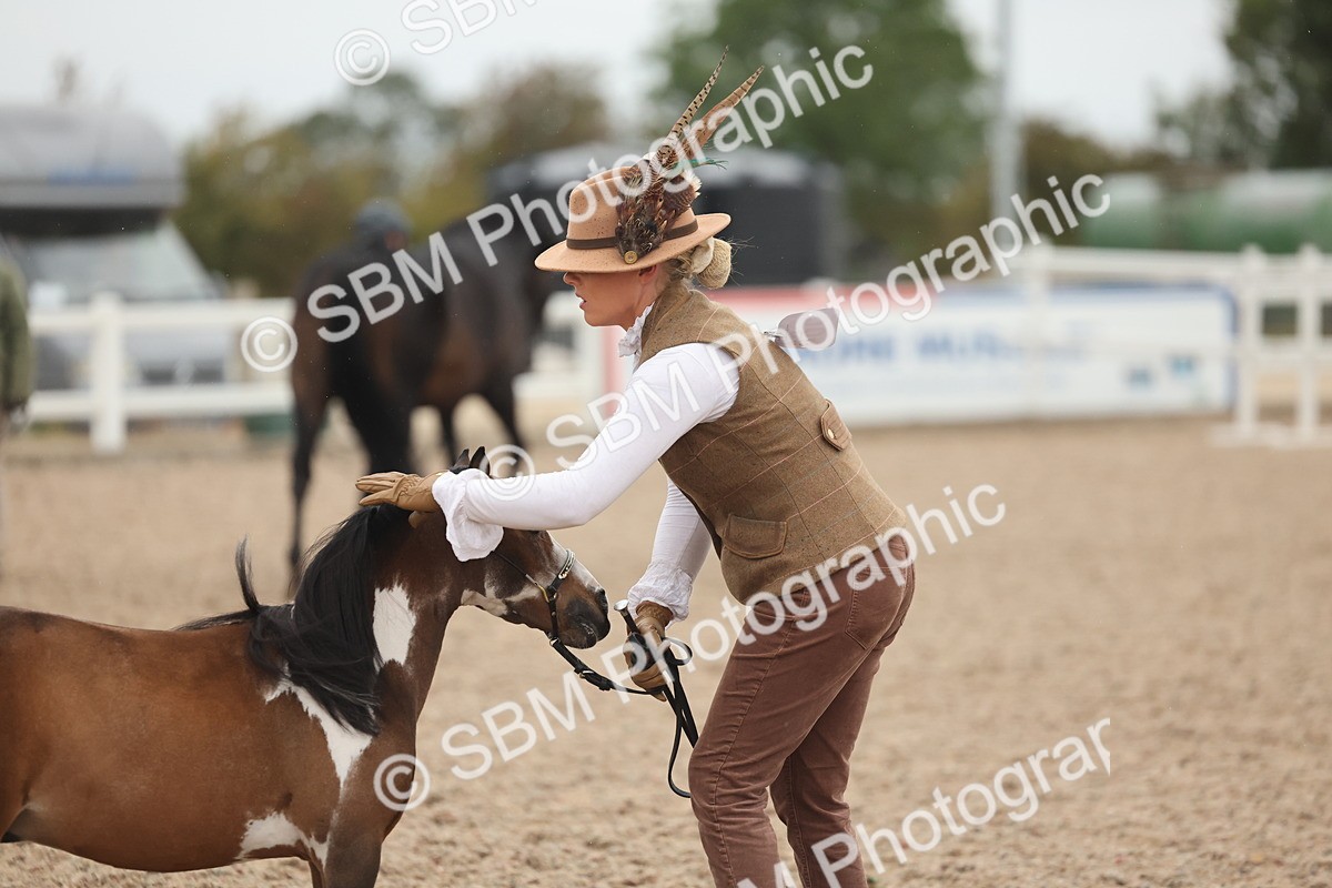 SBM_19368 - Class 317 - IH Pure Bred Horse-Pony