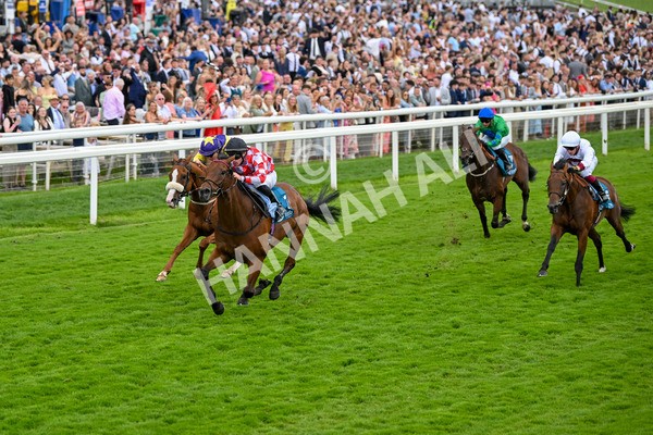 270724-Race 6-Ziggy-7515 - Race 6 5.10pm Sky Bet, For The Fans Handicap