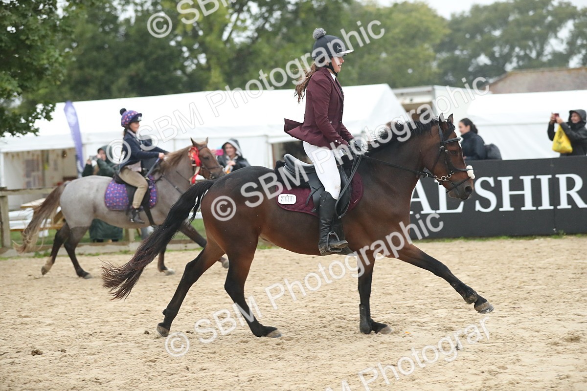 SBM_74347 - Supreme championship Junior Pony 70cm 75cm
