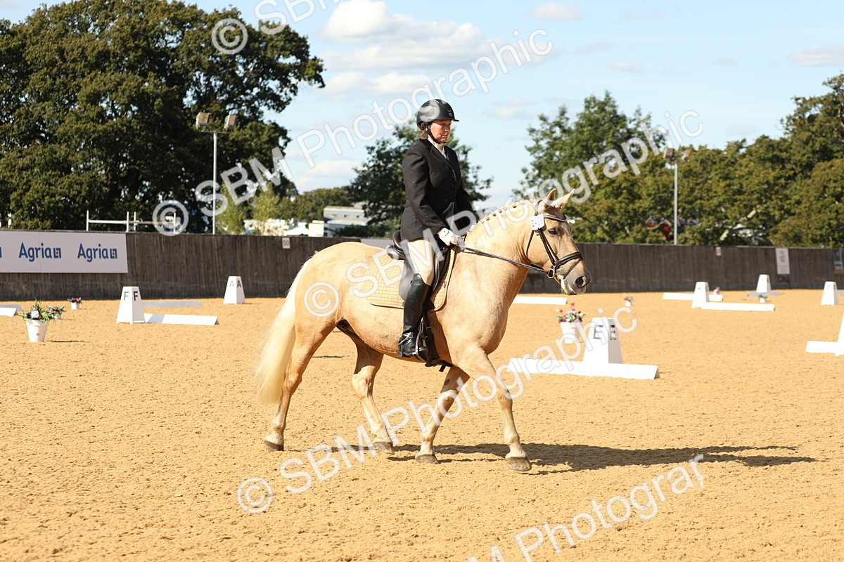 SBM_24553 - D17 - Grand Tour Championship - Novice 27