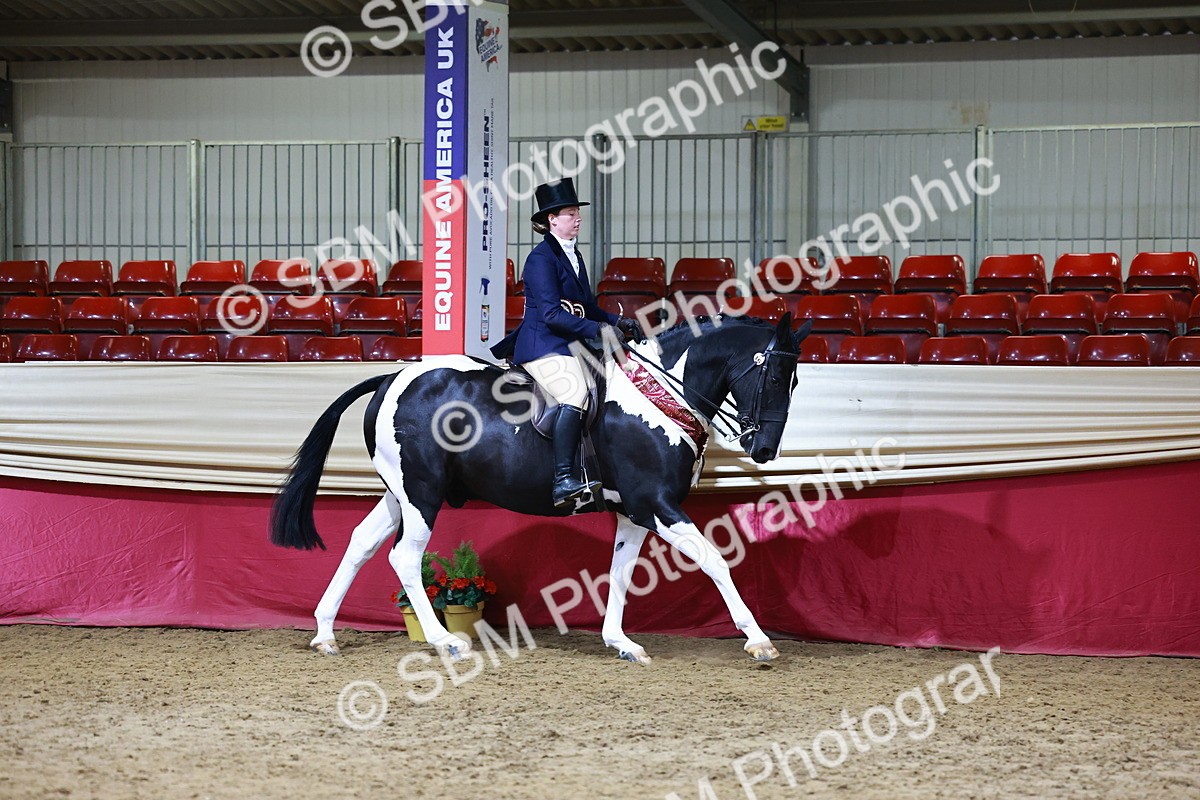 SBM_23581 - class 906 - Supreme Final - Ridden Pre Vet