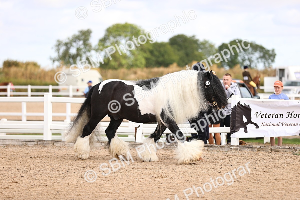 SBM_09281 - Class 404 - IH Traditional - Native Cob