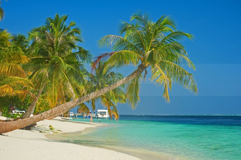  - Maldives